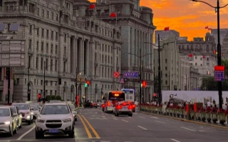 2025年魔都新茶论坛:都市茶文化的全新浪潮 2025年魔都新茶论坛:都市茶文化的全新浪潮