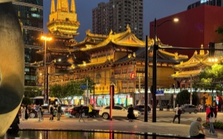 上海大龙凤419:城市夜影下的文化与困惑 上海大龙凤419:城市夜影下的文化与困惑